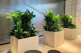 Wendell Berry said it best when he said that “eating is an agricultural act.” Our mission is to change the food system by providing a healthy, fresh alternative to industrial food.