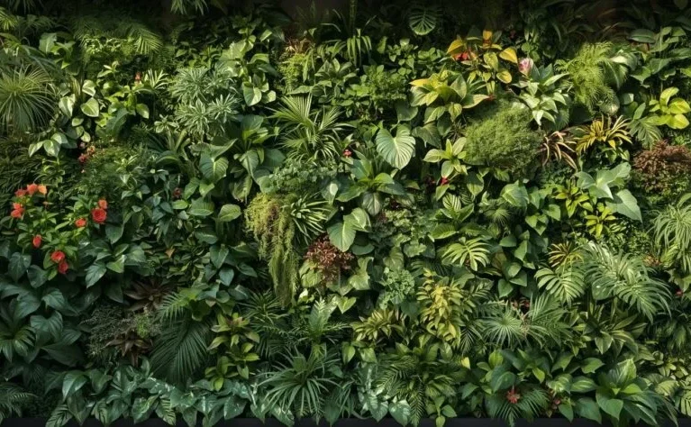 Wendell Berry said it best when he said that “eating is an agricultural act.” Our mission is to change the food system by providing a healthy, fresh alternative to industrial food.